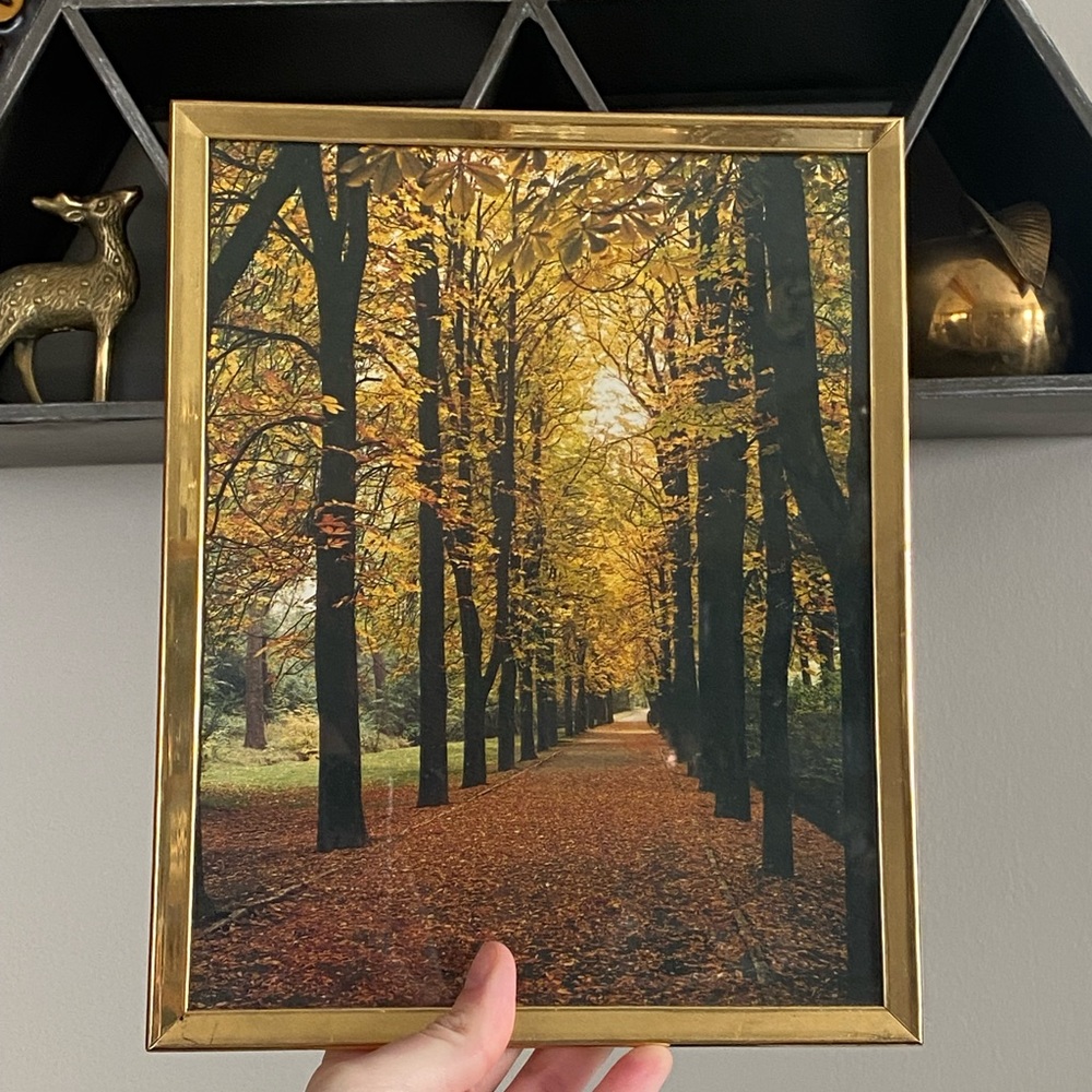 VTG 1970s brass frame